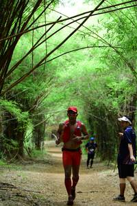 BIB: 
                            <button type="button" onclick="openModal(4293726)" class="btn btn-primary btn-sm float-right btn-popup" data-toggle="modal" data-target=".modal-high-quality">
                        <i class="fas fa-shopping-cart"></i> Add to Cart
                    </button>
                                            <button type="button" onclick="isThisMe(4293726, true)" class="btn btn-success btn-sm float-right btn-popup btn-isme hidden" data-toggle="tooltip" data-placement="bottom" title="นี่คือรูปของคุณใช่ไหม คลิกที่นี่เพื่อเอาเข้าอัลบั้ม">
                        <i class="fas fa-plus"></i> Add to album
                    </button>
                    <button type="button" onclick="isThisMe(4293726, false)" class="btn btn-warning btn-sm float-right btn-popup btn-isnotme hidden">
                        <i class="fas fa-ban"></i> Remove from album
                    </button>