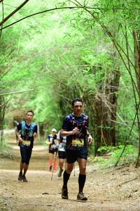 BIB: 
                            <button type="button" onclick="openModal(4305164)" class="btn btn-primary btn-sm float-right btn-popup" data-toggle="modal" data-target=".modal-high-quality">
                        <i class="fas fa-shopping-cart"></i> Add to Cart
                    </button>
                                            <button type="button" onclick="isThisMe(4305164, true)" class="btn btn-success btn-sm float-right btn-popup btn-isme hidden" data-toggle="tooltip" data-placement="bottom" title="นี่คือรูปของคุณใช่ไหม คลิกที่นี่เพื่อเอาเข้าอัลบั้ม">
                        <i class="fas fa-plus"></i> Add to album
                    </button>
                    <button type="button" onclick="isThisMe(4305164, false)" class="btn btn-warning btn-sm float-right btn-popup btn-isnotme hidden">
                        <i class="fas fa-ban"></i> Remove from album
                    </button>