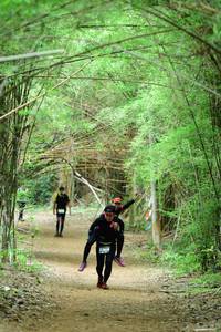 BIB: 
                            <button type="button" onclick="openModal(4306777)" class="btn btn-primary btn-sm float-right btn-popup" data-toggle="modal" data-target=".modal-high-quality">
                        <i class="fas fa-shopping-cart"></i> Add to Cart
                    </button>
                                            <button type="button" onclick="isThisMe(4306777, true)" class="btn btn-success btn-sm float-right btn-popup btn-isme hidden" data-toggle="tooltip" data-placement="bottom" title="นี่คือรูปของคุณใช่ไหม คลิกที่นี่เพื่อเอาเข้าอัลบั้ม">
                        <i class="fas fa-plus"></i> Add to album
                    </button>
                    <button type="button" onclick="isThisMe(4306777, false)" class="btn btn-warning btn-sm float-right btn-popup btn-isnotme hidden">
                        <i class="fas fa-ban"></i> Remove from album
                    </button>