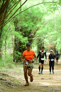 BIB: 
                            <button type="button" onclick="openModal(4290771)" class="btn btn-primary btn-sm float-right btn-popup" data-toggle="modal" data-target=".modal-high-quality">
                        <i class="fas fa-shopping-cart"></i> Add to Cart
                    </button>
                                            <button type="button" onclick="isThisMe(4290771, true)" class="btn btn-success btn-sm float-right btn-popup btn-isme hidden" data-toggle="tooltip" data-placement="bottom" title="นี่คือรูปของคุณใช่ไหม คลิกที่นี่เพื่อเอาเข้าอัลบั้ม">
                        <i class="fas fa-plus"></i> Add to album
                    </button>
                    <button type="button" onclick="isThisMe(4290771, false)" class="btn btn-warning btn-sm float-right btn-popup btn-isnotme hidden">
                        <i class="fas fa-ban"></i> Remove from album
                    </button>