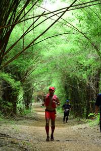 BIB: 
                            <button type="button" onclick="openModal(4293723)" class="btn btn-primary btn-sm float-right btn-popup" data-toggle="modal" data-target=".modal-high-quality">
                        <i class="fas fa-shopping-cart"></i> Add to Cart
                    </button>
                                            <button type="button" onclick="isThisMe(4293723, true)" class="btn btn-success btn-sm float-right btn-popup btn-isme hidden" data-toggle="tooltip" data-placement="bottom" title="นี่คือรูปของคุณใช่ไหม คลิกที่นี่เพื่อเอาเข้าอัลบั้ม">
                        <i class="fas fa-plus"></i> Add to album
                    </button>
                    <button type="button" onclick="isThisMe(4293723, false)" class="btn btn-warning btn-sm float-right btn-popup btn-isnotme hidden">
                        <i class="fas fa-ban"></i> Remove from album
                    </button>