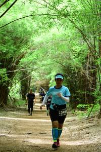 BIB: 3490
                            <button type="button" onclick="openModal(4291921)" class="btn btn-primary btn-sm float-right btn-popup" data-toggle="modal" data-target=".modal-high-quality">
                        <i class="fas fa-shopping-cart"></i> Add to Cart
                    </button>
                                            <button type="button" onclick="isThisMe(4291921, true)" class="btn btn-success btn-sm float-right btn-popup btn-isme hidden" data-toggle="tooltip" data-placement="bottom" title="นี่คือรูปของคุณใช่ไหม คลิกที่นี่เพื่อเอาเข้าอัลบั้ม">
                        <i class="fas fa-plus"></i> Add to album
                    </button>
                    <button type="button" onclick="isThisMe(4291921, false)" class="btn btn-warning btn-sm float-right btn-popup btn-isnotme hidden">
                        <i class="fas fa-ban"></i> Remove from album
                    </button>