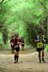 BIB: 3078, 3077
                            <button type="button" onclick="openModal(4292670)" class="btn btn-primary btn-sm float-right btn-popup" data-toggle="modal" data-target=".modal-high-quality">
                        <i class="fas fa-shopping-cart"></i> Add to Cart
                    </button>
                                            <button type="button" onclick="isThisMe(4292670, true)" class="btn btn-success btn-sm float-right btn-popup btn-isme hidden" data-toggle="tooltip" data-placement="bottom" title="นี่คือรูปของคุณใช่ไหม คลิกที่นี่เพื่อเอาเข้าอัลบั้ม">
                        <i class="fas fa-plus"></i> Add to album
                    </button>
                    <button type="button" onclick="isThisMe(4292670, false)" class="btn btn-warning btn-sm float-right btn-popup btn-isnotme hidden">
                        <i class="fas fa-ban"></i> Remove from album
                    </button>