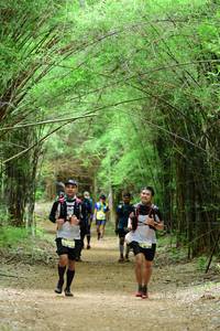 BIB: 
                            <button type="button" onclick="openModal(4292514)" class="btn btn-primary btn-sm float-right btn-popup" data-toggle="modal" data-target=".modal-high-quality">
                        <i class="fas fa-shopping-cart"></i> Add to Cart
                    </button>
                                            <button type="button" onclick="isThisMe(4292514, true)" class="btn btn-success btn-sm float-right btn-popup btn-isme hidden" data-toggle="tooltip" data-placement="bottom" title="นี่คือรูปของคุณใช่ไหม คลิกที่นี่เพื่อเอาเข้าอัลบั้ม">
                        <i class="fas fa-plus"></i> Add to album
                    </button>
                    <button type="button" onclick="isThisMe(4292514, false)" class="btn btn-warning btn-sm float-right btn-popup btn-isnotme hidden">
                        <i class="fas fa-ban"></i> Remove from album
                    </button>