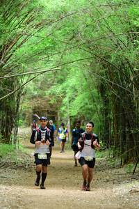 BIB: 
                            <button type="button" onclick="openModal(4292517)" class="btn btn-primary btn-sm float-right btn-popup" data-toggle="modal" data-target=".modal-high-quality">
                        <i class="fas fa-shopping-cart"></i> Add to Cart
                    </button>
                                            <button type="button" onclick="isThisMe(4292517, true)" class="btn btn-success btn-sm float-right btn-popup btn-isme hidden" data-toggle="tooltip" data-placement="bottom" title="นี่คือรูปของคุณใช่ไหม คลิกที่นี่เพื่อเอาเข้าอัลบั้ม">
                        <i class="fas fa-plus"></i> Add to album
                    </button>
                    <button type="button" onclick="isThisMe(4292517, false)" class="btn btn-warning btn-sm float-right btn-popup btn-isnotme hidden">
                        <i class="fas fa-ban"></i> Remove from album
                    </button>