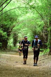 BIB: 3199, 400
                            <button type="button" onclick="openModal(4291023)" class="btn btn-primary btn-sm float-right btn-popup" data-toggle="modal" data-target=".modal-high-quality">
                        <i class="fas fa-shopping-cart"></i> Add to Cart
                    </button>
                                            <button type="button" onclick="isThisMe(4291023, true)" class="btn btn-success btn-sm float-right btn-popup btn-isme hidden" data-toggle="tooltip" data-placement="bottom" title="นี่คือรูปของคุณใช่ไหม คลิกที่นี่เพื่อเอาเข้าอัลบั้ม">
                        <i class="fas fa-plus"></i> Add to album
                    </button>
                    <button type="button" onclick="isThisMe(4291023, false)" class="btn btn-warning btn-sm float-right btn-popup btn-isnotme hidden">
                        <i class="fas fa-ban"></i> Remove from album
                    </button>