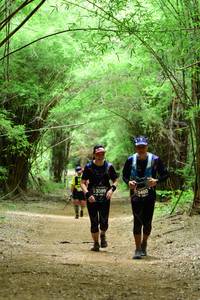 BIB: 3399, 3400
                            <button type="button" onclick="openModal(4291070)" class="btn btn-primary btn-sm float-right btn-popup" data-toggle="modal" data-target=".modal-high-quality">
                        <i class="fas fa-shopping-cart"></i> Add to Cart
                    </button>
                                            <button type="button" onclick="isThisMe(4291070, true)" class="btn btn-success btn-sm float-right btn-popup btn-isme hidden" data-toggle="tooltip" data-placement="bottom" title="นี่คือรูปของคุณใช่ไหม คลิกที่นี่เพื่อเอาเข้าอัลบั้ม">
                        <i class="fas fa-plus"></i> Add to album
                    </button>
                    <button type="button" onclick="isThisMe(4291070, false)" class="btn btn-warning btn-sm float-right btn-popup btn-isnotme hidden">
                        <i class="fas fa-ban"></i> Remove from album
                    </button>