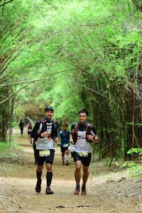 BIB: 
                            <button type="button" onclick="openModal(4292530)" class="btn btn-primary btn-sm float-right btn-popup" data-toggle="modal" data-target=".modal-high-quality">
                        <i class="fas fa-shopping-cart"></i> Add to Cart
                    </button>
                                            <button type="button" onclick="isThisMe(4292530, true)" class="btn btn-success btn-sm float-right btn-popup btn-isme hidden" data-toggle="tooltip" data-placement="bottom" title="นี่คือรูปของคุณใช่ไหม คลิกที่นี่เพื่อเอาเข้าอัลบั้ม">
                        <i class="fas fa-plus"></i> Add to album
                    </button>
                    <button type="button" onclick="isThisMe(4292530, false)" class="btn btn-warning btn-sm float-right btn-popup btn-isnotme hidden">
                        <i class="fas fa-ban"></i> Remove from album
                    </button>