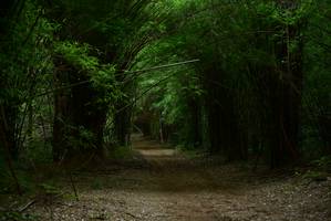 BIB: 
                            <button type="button" onclick="openModal(3931521)" class="btn btn-primary btn-sm float-right btn-popup" data-toggle="modal" data-target=".modal-high-quality">
                        <i class="fas fa-shopping-cart"></i> Add to Cart
                    </button>
                                            <button type="button" onclick="isThisMe(3931521, true)" class="btn btn-success btn-sm float-right btn-popup btn-isme hidden" data-toggle="tooltip" data-placement="bottom" title="นี่คือรูปของคุณใช่ไหม คลิกที่นี่เพื่อเอาเข้าอัลบั้ม">
                        <i class="fas fa-plus"></i> Add to album
                    </button>
                    <button type="button" onclick="isThisMe(3931521, false)" class="btn btn-warning btn-sm float-right btn-popup btn-isnotme hidden">
                        <i class="fas fa-ban"></i> Remove from album
                    </button>