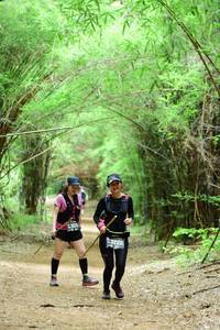 BIB: 4325, 3222, 
                            <button type="button" onclick="openModal(4305690)" class="btn btn-primary btn-sm float-right btn-popup" data-toggle="modal" data-target=".modal-high-quality">
                        <i class="fas fa-shopping-cart"></i> Add to Cart
                    </button>
                                            <button type="button" onclick="isThisMe(4305690, true)" class="btn btn-success btn-sm float-right btn-popup btn-isme hidden" data-toggle="tooltip" data-placement="bottom" title="นี่คือรูปของคุณใช่ไหม คลิกที่นี่เพื่อเอาเข้าอัลบั้ม">
                        <i class="fas fa-plus"></i> Add to album
                    </button>
                    <button type="button" onclick="isThisMe(4305690, false)" class="btn btn-warning btn-sm float-right btn-popup btn-isnotme hidden">
                        <i class="fas fa-ban"></i> Remove from album
                    </button>