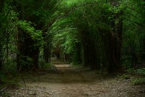 BIB: 
                            <button type="button" onclick="openModal(3931515)" class="btn btn-primary btn-sm float-right btn-popup" data-toggle="modal" data-target=".modal-high-quality">
                        <i class="fas fa-shopping-cart"></i> Add to Cart
                    </button>
                                            <button type="button" onclick="isThisMe(3931515, true)" class="btn btn-success btn-sm float-right btn-popup btn-isme hidden" data-toggle="tooltip" data-placement="bottom" title="นี่คือรูปของคุณใช่ไหม คลิกที่นี่เพื่อเอาเข้าอัลบั้ม">
                        <i class="fas fa-plus"></i> Add to album
                    </button>
                    <button type="button" onclick="isThisMe(3931515, false)" class="btn btn-warning btn-sm float-right btn-popup btn-isnotme hidden">
                        <i class="fas fa-ban"></i> Remove from album
                    </button>