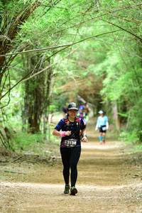 BIB: 3134, 
                            <button type="button" onclick="openModal(4291633)" class="btn btn-primary btn-sm float-right btn-popup" data-toggle="modal" data-target=".modal-high-quality">
                        <i class="fas fa-shopping-cart"></i> Add to Cart
                    </button>
                                            <button type="button" onclick="isThisMe(4291633, true)" class="btn btn-success btn-sm float-right btn-popup btn-isme hidden" data-toggle="tooltip" data-placement="bottom" title="นี่คือรูปของคุณใช่ไหม คลิกที่นี่เพื่อเอาเข้าอัลบั้ม">
                        <i class="fas fa-plus"></i> Add to album
                    </button>
                    <button type="button" onclick="isThisMe(4291633, false)" class="btn btn-warning btn-sm float-right btn-popup btn-isnotme hidden">
                        <i class="fas fa-ban"></i> Remove from album
                    </button>