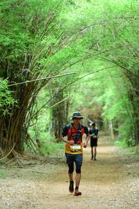 BIB: 
                            <button type="button" onclick="openModal(4307497)" class="btn btn-primary btn-sm float-right btn-popup" data-toggle="modal" data-target=".modal-high-quality">
                        <i class="fas fa-shopping-cart"></i> Add to Cart
                    </button>
                                            <button type="button" onclick="isThisMe(4307497, true)" class="btn btn-success btn-sm float-right btn-popup btn-isme hidden" data-toggle="tooltip" data-placement="bottom" title="นี่คือรูปของคุณใช่ไหม คลิกที่นี่เพื่อเอาเข้าอัลบั้ม">
                        <i class="fas fa-plus"></i> Add to album
                    </button>
                    <button type="button" onclick="isThisMe(4307497, false)" class="btn btn-warning btn-sm float-right btn-popup btn-isnotme hidden">
                        <i class="fas fa-ban"></i> Remove from album
                    </button>