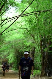 BIB: 3303
                            <button type="button" onclick="openModal(4293660)" class="btn btn-primary btn-sm float-right btn-popup" data-toggle="modal" data-target=".modal-high-quality">
                        <i class="fas fa-shopping-cart"></i> Add to Cart
                    </button>
                                            <button type="button" onclick="isThisMe(4293660, true)" class="btn btn-success btn-sm float-right btn-popup btn-isme hidden" data-toggle="tooltip" data-placement="bottom" title="นี่คือรูปของคุณใช่ไหม คลิกที่นี่เพื่อเอาเข้าอัลบั้ม">
                        <i class="fas fa-plus"></i> Add to album
                    </button>
                    <button type="button" onclick="isThisMe(4293660, false)" class="btn btn-warning btn-sm float-right btn-popup btn-isnotme hidden">
                        <i class="fas fa-ban"></i> Remove from album
                    </button>