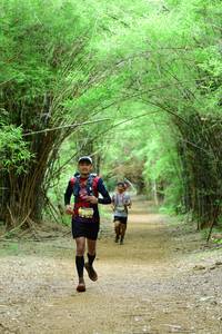 BIB: 
                            <button type="button" onclick="openModal(4307382)" class="btn btn-primary btn-sm float-right btn-popup" data-toggle="modal" data-target=".modal-high-quality">
                        <i class="fas fa-shopping-cart"></i> Add to Cart
                    </button>
                                            <button type="button" onclick="isThisMe(4307382, true)" class="btn btn-success btn-sm float-right btn-popup btn-isme hidden" data-toggle="tooltip" data-placement="bottom" title="นี่คือรูปของคุณใช่ไหม คลิกที่นี่เพื่อเอาเข้าอัลบั้ม">
                        <i class="fas fa-plus"></i> Add to album
                    </button>
                    <button type="button" onclick="isThisMe(4307382, false)" class="btn btn-warning btn-sm float-right btn-popup btn-isnotme hidden">
                        <i class="fas fa-ban"></i> Remove from album
                    </button>