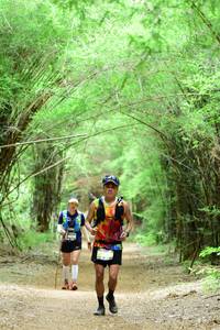 BIB: 
                            <button type="button" onclick="openModal(4305879)" class="btn btn-primary btn-sm float-right btn-popup" data-toggle="modal" data-target=".modal-high-quality">
                        <i class="fas fa-shopping-cart"></i> Add to Cart
                    </button>
                                            <button type="button" onclick="isThisMe(4305879, true)" class="btn btn-success btn-sm float-right btn-popup btn-isme hidden" data-toggle="tooltip" data-placement="bottom" title="นี่คือรูปของคุณใช่ไหม คลิกที่นี่เพื่อเอาเข้าอัลบั้ม">
                        <i class="fas fa-plus"></i> Add to album
                    </button>
                    <button type="button" onclick="isThisMe(4305879, false)" class="btn btn-warning btn-sm float-right btn-popup btn-isnotme hidden">
                        <i class="fas fa-ban"></i> Remove from album
                    </button>