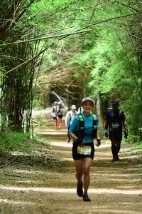 BIB: 3802
                            <button type="button" onclick="openModal(4294319)" class="btn btn-primary btn-sm float-right btn-popup" data-toggle="modal" data-target=".modal-high-quality">
                        <i class="fas fa-shopping-cart"></i> Add to Cart
                    </button>
                                            <button type="button" onclick="isThisMe(4294319, true)" class="btn btn-success btn-sm float-right btn-popup btn-isme hidden" data-toggle="tooltip" data-placement="bottom" title="นี่คือรูปของคุณใช่ไหม คลิกที่นี่เพื่อเอาเข้าอัลบั้ม">
                        <i class="fas fa-plus"></i> Add to album
                    </button>
                    <button type="button" onclick="isThisMe(4294319, false)" class="btn btn-warning btn-sm float-right btn-popup btn-isnotme hidden">
                        <i class="fas fa-ban"></i> Remove from album
                    </button>