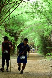 BIB: 3709, 3654
                            <button type="button" onclick="openModal(4290637)" class="btn btn-primary btn-sm float-right btn-popup" data-toggle="modal" data-target=".modal-high-quality">
                        <i class="fas fa-shopping-cart"></i> Add to Cart
                    </button>
                                            <button type="button" onclick="isThisMe(4290637, true)" class="btn btn-success btn-sm float-right btn-popup btn-isme hidden" data-toggle="tooltip" data-placement="bottom" title="นี่คือรูปของคุณใช่ไหม คลิกที่นี่เพื่อเอาเข้าอัลบั้ม">
                        <i class="fas fa-plus"></i> Add to album
                    </button>
                    <button type="button" onclick="isThisMe(4290637, false)" class="btn btn-warning btn-sm float-right btn-popup btn-isnotme hidden">
                        <i class="fas fa-ban"></i> Remove from album
                    </button>