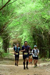 BIB: 3010
                            <button type="button" onclick="openModal(4305141)" class="btn btn-primary btn-sm float-right btn-popup" data-toggle="modal" data-target=".modal-high-quality">
                        <i class="fas fa-shopping-cart"></i> Add to Cart
                    </button>
                                            <button type="button" onclick="isThisMe(4305141, true)" class="btn btn-success btn-sm float-right btn-popup btn-isme hidden" data-toggle="tooltip" data-placement="bottom" title="นี่คือรูปของคุณใช่ไหม คลิกที่นี่เพื่อเอาเข้าอัลบั้ม">
                        <i class="fas fa-plus"></i> Add to album
                    </button>
                    <button type="button" onclick="isThisMe(4305141, false)" class="btn btn-warning btn-sm float-right btn-popup btn-isnotme hidden">
                        <i class="fas fa-ban"></i> Remove from album
                    </button>