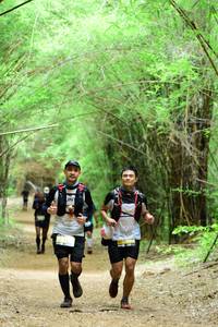 BIB: 
                            <button type="button" onclick="openModal(4292542)" class="btn btn-primary btn-sm float-right btn-popup" data-toggle="modal" data-target=".modal-high-quality">
                        <i class="fas fa-shopping-cart"></i> Add to Cart
                    </button>
                                            <button type="button" onclick="isThisMe(4292542, true)" class="btn btn-success btn-sm float-right btn-popup btn-isme hidden" data-toggle="tooltip" data-placement="bottom" title="นี่คือรูปของคุณใช่ไหม คลิกที่นี่เพื่อเอาเข้าอัลบั้ม">
                        <i class="fas fa-plus"></i> Add to album
                    </button>
                    <button type="button" onclick="isThisMe(4292542, false)" class="btn btn-warning btn-sm float-right btn-popup btn-isnotme hidden">
                        <i class="fas fa-ban"></i> Remove from album
                    </button>