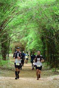 BIB: 8223
                            <button type="button" onclick="openModal(4292513)" class="btn btn-primary btn-sm float-right btn-popup" data-toggle="modal" data-target=".modal-high-quality">
                        <i class="fas fa-shopping-cart"></i> Add to Cart
                    </button>
                                            <button type="button" onclick="isThisMe(4292513, true)" class="btn btn-success btn-sm float-right btn-popup btn-isme hidden" data-toggle="tooltip" data-placement="bottom" title="นี่คือรูปของคุณใช่ไหม คลิกที่นี่เพื่อเอาเข้าอัลบั้ม">
                        <i class="fas fa-plus"></i> Add to album
                    </button>
                    <button type="button" onclick="isThisMe(4292513, false)" class="btn btn-warning btn-sm float-right btn-popup btn-isnotme hidden">
                        <i class="fas fa-ban"></i> Remove from album
                    </button>