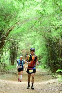 BIB: 550
                            <button type="button" onclick="openModal(4305882)" class="btn btn-primary btn-sm float-right btn-popup" data-toggle="modal" data-target=".modal-high-quality">
                        <i class="fas fa-shopping-cart"></i> Add to Cart
                    </button>
                                            <button type="button" onclick="isThisMe(4305882, true)" class="btn btn-success btn-sm float-right btn-popup btn-isme hidden" data-toggle="tooltip" data-placement="bottom" title="นี่คือรูปของคุณใช่ไหม คลิกที่นี่เพื่อเอาเข้าอัลบั้ม">
                        <i class="fas fa-plus"></i> Add to album
                    </button>
                    <button type="button" onclick="isThisMe(4305882, false)" class="btn btn-warning btn-sm float-right btn-popup btn-isnotme hidden">
                        <i class="fas fa-ban"></i> Remove from album
                    </button>