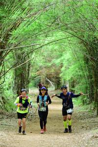 BIB: 3979, 3797
                            <button type="button" onclick="openModal(4307091)" class="btn btn-primary btn-sm float-right btn-popup" data-toggle="modal" data-target=".modal-high-quality">
                        <i class="fas fa-shopping-cart"></i> Add to Cart
                    </button>
                                            <button type="button" onclick="isThisMe(4307091, true)" class="btn btn-success btn-sm float-right btn-popup btn-isme hidden" data-toggle="tooltip" data-placement="bottom" title="นี่คือรูปของคุณใช่ไหม คลิกที่นี่เพื่อเอาเข้าอัลบั้ม">
                        <i class="fas fa-plus"></i> Add to album
                    </button>
                    <button type="button" onclick="isThisMe(4307091, false)" class="btn btn-warning btn-sm float-right btn-popup btn-isnotme hidden">
                        <i class="fas fa-ban"></i> Remove from album
                    </button>