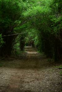 BIB: 
                            <button type="button" onclick="openModal(3931520)" class="btn btn-primary btn-sm float-right btn-popup" data-toggle="modal" data-target=".modal-high-quality">
                        <i class="fas fa-shopping-cart"></i> Add to Cart
                    </button>
                                            <button type="button" onclick="isThisMe(3931520, true)" class="btn btn-success btn-sm float-right btn-popup btn-isme hidden" data-toggle="tooltip" data-placement="bottom" title="นี่คือรูปของคุณใช่ไหม คลิกที่นี่เพื่อเอาเข้าอัลบั้ม">
                        <i class="fas fa-plus"></i> Add to album
                    </button>
                    <button type="button" onclick="isThisMe(3931520, false)" class="btn btn-warning btn-sm float-right btn-popup btn-isnotme hidden">
                        <i class="fas fa-ban"></i> Remove from album
                    </button>