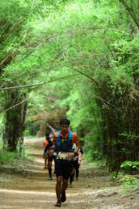 BIB: 
                            <button type="button" onclick="openModal(4290725)" class="btn btn-primary btn-sm float-right btn-popup" data-toggle="modal" data-target=".modal-high-quality">
                        <i class="fas fa-shopping-cart"></i> Add to Cart
                    </button>
                                            <button type="button" onclick="isThisMe(4290725, true)" class="btn btn-success btn-sm float-right btn-popup btn-isme hidden" data-toggle="tooltip" data-placement="bottom" title="นี่คือรูปของคุณใช่ไหม คลิกที่นี่เพื่อเอาเข้าอัลบั้ม">
                        <i class="fas fa-plus"></i> Add to album
                    </button>
                    <button type="button" onclick="isThisMe(4290725, false)" class="btn btn-warning btn-sm float-right btn-popup btn-isnotme hidden">
                        <i class="fas fa-ban"></i> Remove from album
                    </button>