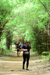 BIB: 3134, 
                            <button type="button" onclick="openModal(4291667)" class="btn btn-primary btn-sm float-right btn-popup" data-toggle="modal" data-target=".modal-high-quality">
                        <i class="fas fa-shopping-cart"></i> Add to Cart
                    </button>
                                            <button type="button" onclick="isThisMe(4291667, true)" class="btn btn-success btn-sm float-right btn-popup btn-isme hidden" data-toggle="tooltip" data-placement="bottom" title="นี่คือรูปของคุณใช่ไหม คลิกที่นี่เพื่อเอาเข้าอัลบั้ม">
                        <i class="fas fa-plus"></i> Add to album
                    </button>
                    <button type="button" onclick="isThisMe(4291667, false)" class="btn btn-warning btn-sm float-right btn-popup btn-isnotme hidden">
                        <i class="fas fa-ban"></i> Remove from album
                    </button>