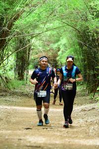 BIB: 13491, 3503
                            <button type="button" onclick="openModal(4291480)" class="btn btn-primary btn-sm float-right btn-popup" data-toggle="modal" data-target=".modal-high-quality">
                        <i class="fas fa-shopping-cart"></i> Add to Cart
                    </button>
                                            <button type="button" onclick="isThisMe(4291480, true)" class="btn btn-success btn-sm float-right btn-popup btn-isme hidden" data-toggle="tooltip" data-placement="bottom" title="นี่คือรูปของคุณใช่ไหม คลิกที่นี่เพื่อเอาเข้าอัลบั้ม">
                        <i class="fas fa-plus"></i> Add to album
                    </button>
                    <button type="button" onclick="isThisMe(4291480, false)" class="btn btn-warning btn-sm float-right btn-popup btn-isnotme hidden">
                        <i class="fas fa-ban"></i> Remove from album
                    </button>