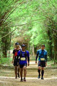 BIB: 5219
                            <button type="button" onclick="openModal(4305435)" class="btn btn-primary btn-sm float-right btn-popup" data-toggle="modal" data-target=".modal-high-quality">
                        <i class="fas fa-shopping-cart"></i> Add to Cart
                    </button>
                                            <button type="button" onclick="isThisMe(4305435, true)" class="btn btn-success btn-sm float-right btn-popup btn-isme hidden" data-toggle="tooltip" data-placement="bottom" title="นี่คือรูปของคุณใช่ไหม คลิกที่นี่เพื่อเอาเข้าอัลบั้ม">
                        <i class="fas fa-plus"></i> Add to album
                    </button>
                    <button type="button" onclick="isThisMe(4305435, false)" class="btn btn-warning btn-sm float-right btn-popup btn-isnotme hidden">
                        <i class="fas fa-ban"></i> Remove from album
                    </button>