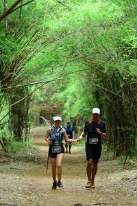 BIB: 3576, 3317, 
                            <button type="button" onclick="openModal(4292989)" class="btn btn-primary btn-sm float-right btn-popup" data-toggle="modal" data-target=".modal-high-quality">
                        <i class="fas fa-shopping-cart"></i> Add to Cart
                    </button>
                                            <button type="button" onclick="isThisMe(4292989, true)" class="btn btn-success btn-sm float-right btn-popup btn-isme hidden" data-toggle="tooltip" data-placement="bottom" title="นี่คือรูปของคุณใช่ไหม คลิกที่นี่เพื่อเอาเข้าอัลบั้ม">
                        <i class="fas fa-plus"></i> Add to album
                    </button>
                    <button type="button" onclick="isThisMe(4292989, false)" class="btn btn-warning btn-sm float-right btn-popup btn-isnotme hidden">
                        <i class="fas fa-ban"></i> Remove from album
                    </button>