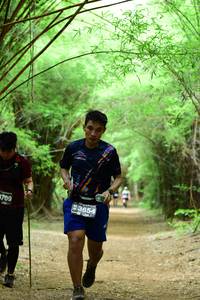 BIB: 3654, 709
                            <button type="button" onclick="openModal(4290654)" class="btn btn-primary btn-sm float-right btn-popup" data-toggle="modal" data-target=".modal-high-quality">
                        <i class="fas fa-shopping-cart"></i> Add to Cart
                    </button>
                                            <button type="button" onclick="isThisMe(4290654, true)" class="btn btn-success btn-sm float-right btn-popup btn-isme hidden" data-toggle="tooltip" data-placement="bottom" title="นี่คือรูปของคุณใช่ไหม คลิกที่นี่เพื่อเอาเข้าอัลบั้ม">
                        <i class="fas fa-plus"></i> Add to album
                    </button>
                    <button type="button" onclick="isThisMe(4290654, false)" class="btn btn-warning btn-sm float-right btn-popup btn-isnotme hidden">
                        <i class="fas fa-ban"></i> Remove from album
                    </button>