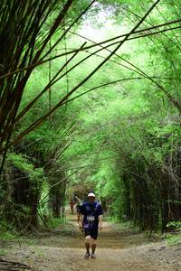 BIB: 
                            <button type="button" onclick="openModal(4293613)" class="btn btn-primary btn-sm float-right btn-popup" data-toggle="modal" data-target=".modal-high-quality">
                        <i class="fas fa-shopping-cart"></i> Add to Cart
                    </button>
                                            <button type="button" onclick="isThisMe(4293613, true)" class="btn btn-success btn-sm float-right btn-popup btn-isme hidden" data-toggle="tooltip" data-placement="bottom" title="นี่คือรูปของคุณใช่ไหม คลิกที่นี่เพื่อเอาเข้าอัลบั้ม">
                        <i class="fas fa-plus"></i> Add to album
                    </button>
                    <button type="button" onclick="isThisMe(4293613, false)" class="btn btn-warning btn-sm float-right btn-popup btn-isnotme hidden">
                        <i class="fas fa-ban"></i> Remove from album
                    </button>