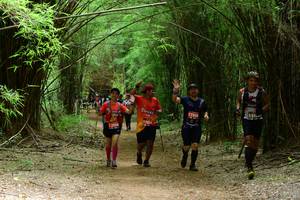 BIB: 12558, 12559
                            <button type="button" onclick="openModal(4244474)" class="btn btn-primary btn-sm float-right btn-popup" data-toggle="modal" data-target=".modal-high-quality">
                        <i class="fas fa-shopping-cart"></i> Add to Cart
                    </button>
                                            <button type="button" onclick="isThisMe(4244474, true)" class="btn btn-success btn-sm float-right btn-popup btn-isme hidden" data-toggle="tooltip" data-placement="bottom" title="นี่คือรูปของคุณใช่ไหม คลิกที่นี่เพื่อเอาเข้าอัลบั้ม">
                        <i class="fas fa-plus"></i> Add to album
                    </button>
                    <button type="button" onclick="isThisMe(4244474, false)" class="btn btn-warning btn-sm float-right btn-popup btn-isnotme hidden">
                        <i class="fas fa-ban"></i> Remove from album
                    </button>