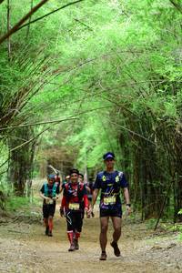 BIB: 5478
                            <button type="button" onclick="openModal(4293243)" class="btn btn-primary btn-sm float-right btn-popup" data-toggle="modal" data-target=".modal-high-quality">
                        <i class="fas fa-shopping-cart"></i> Add to Cart
                    </button>
                                            <button type="button" onclick="isThisMe(4293243, true)" class="btn btn-success btn-sm float-right btn-popup btn-isme hidden" data-toggle="tooltip" data-placement="bottom" title="นี่คือรูปของคุณใช่ไหม คลิกที่นี่เพื่อเอาเข้าอัลบั้ม">
                        <i class="fas fa-plus"></i> Add to album
                    </button>
                    <button type="button" onclick="isThisMe(4293243, false)" class="btn btn-warning btn-sm float-right btn-popup btn-isnotme hidden">
                        <i class="fas fa-ban"></i> Remove from album
                    </button>