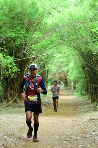 BIB: 
                            <button type="button" onclick="openModal(4307412)" class="btn btn-primary btn-sm float-right btn-popup" data-toggle="modal" data-target=".modal-high-quality">
                        <i class="fas fa-shopping-cart"></i> Add to Cart
                    </button>
                                            <button type="button" onclick="isThisMe(4307412, true)" class="btn btn-success btn-sm float-right btn-popup btn-isme hidden" data-toggle="tooltip" data-placement="bottom" title="นี่คือรูปของคุณใช่ไหม คลิกที่นี่เพื่อเอาเข้าอัลบั้ม">
                        <i class="fas fa-plus"></i> Add to album
                    </button>
                    <button type="button" onclick="isThisMe(4307412, false)" class="btn btn-warning btn-sm float-right btn-popup btn-isnotme hidden">
                        <i class="fas fa-ban"></i> Remove from album
                    </button>