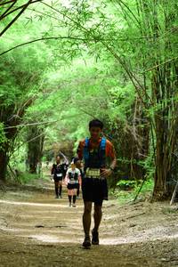 BIB: 5332
                            <button type="button" onclick="openModal(4290730)" class="btn btn-primary btn-sm float-right btn-popup" data-toggle="modal" data-target=".modal-high-quality">
                        <i class="fas fa-shopping-cart"></i> Add to Cart
                    </button>
                                            <button type="button" onclick="isThisMe(4290730, true)" class="btn btn-success btn-sm float-right btn-popup btn-isme hidden" data-toggle="tooltip" data-placement="bottom" title="นี่คือรูปของคุณใช่ไหม คลิกที่นี่เพื่อเอาเข้าอัลบั้ม">
                        <i class="fas fa-plus"></i> Add to album
                    </button>
                    <button type="button" onclick="isThisMe(4290730, false)" class="btn btn-warning btn-sm float-right btn-popup btn-isnotme hidden">
                        <i class="fas fa-ban"></i> Remove from album
                    </button>