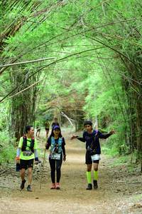 BIB: 3797, 3979
                            <button type="button" onclick="openModal(4307090)" class="btn btn-primary btn-sm float-right btn-popup" data-toggle="modal" data-target=".modal-high-quality">
                        <i class="fas fa-shopping-cart"></i> Add to Cart
                    </button>
                                            <button type="button" onclick="isThisMe(4307090, true)" class="btn btn-success btn-sm float-right btn-popup btn-isme hidden" data-toggle="tooltip" data-placement="bottom" title="นี่คือรูปของคุณใช่ไหม คลิกที่นี่เพื่อเอาเข้าอัลบั้ม">
                        <i class="fas fa-plus"></i> Add to album
                    </button>
                    <button type="button" onclick="isThisMe(4307090, false)" class="btn btn-warning btn-sm float-right btn-popup btn-isnotme hidden">
                        <i class="fas fa-ban"></i> Remove from album
                    </button>