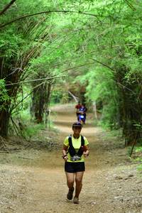 BIB: 305
                            <button type="button" onclick="openModal(4290461)" class="btn btn-primary btn-sm float-right btn-popup" data-toggle="modal" data-target=".modal-high-quality">
                        <i class="fas fa-shopping-cart"></i> Add to Cart
                    </button>
                                            <button type="button" onclick="isThisMe(4290461, true)" class="btn btn-success btn-sm float-right btn-popup btn-isme hidden" data-toggle="tooltip" data-placement="bottom" title="นี่คือรูปของคุณใช่ไหม คลิกที่นี่เพื่อเอาเข้าอัลบั้ม">
                        <i class="fas fa-plus"></i> Add to album
                    </button>
                    <button type="button" onclick="isThisMe(4290461, false)" class="btn btn-warning btn-sm float-right btn-popup btn-isnotme hidden">
                        <i class="fas fa-ban"></i> Remove from album
                    </button>