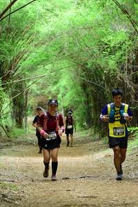 BIB: 3078, 3077
                            <button type="button" onclick="openModal(4292659)" class="btn btn-primary btn-sm float-right btn-popup" data-toggle="modal" data-target=".modal-high-quality">
                        <i class="fas fa-shopping-cart"></i> Add to Cart
                    </button>
                                            <button type="button" onclick="isThisMe(4292659, true)" class="btn btn-success btn-sm float-right btn-popup btn-isme hidden" data-toggle="tooltip" data-placement="bottom" title="นี่คือรูปของคุณใช่ไหม คลิกที่นี่เพื่อเอาเข้าอัลบั้ม">
                        <i class="fas fa-plus"></i> Add to album
                    </button>
                    <button type="button" onclick="isThisMe(4292659, false)" class="btn btn-warning btn-sm float-right btn-popup btn-isnotme hidden">
                        <i class="fas fa-ban"></i> Remove from album
                    </button>