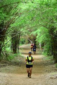 BIB: 3056
                            <button type="button" onclick="openModal(4290445)" class="btn btn-primary btn-sm float-right btn-popup" data-toggle="modal" data-target=".modal-high-quality">
                        <i class="fas fa-shopping-cart"></i> Add to Cart
                    </button>
                                            <button type="button" onclick="isThisMe(4290445, true)" class="btn btn-success btn-sm float-right btn-popup btn-isme hidden" data-toggle="tooltip" data-placement="bottom" title="นี่คือรูปของคุณใช่ไหม คลิกที่นี่เพื่อเอาเข้าอัลบั้ม">
                        <i class="fas fa-plus"></i> Add to album
                    </button>
                    <button type="button" onclick="isThisMe(4290445, false)" class="btn btn-warning btn-sm float-right btn-popup btn-isnotme hidden">
                        <i class="fas fa-ban"></i> Remove from album
                    </button>