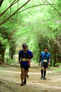 BIB: 
                            <button type="button" onclick="openModal(4305473)" class="btn btn-primary btn-sm float-right btn-popup" data-toggle="modal" data-target=".modal-high-quality">
                        <i class="fas fa-shopping-cart"></i> Add to Cart
                    </button>
                                            <button type="button" onclick="isThisMe(4305473, true)" class="btn btn-success btn-sm float-right btn-popup btn-isme hidden" data-toggle="tooltip" data-placement="bottom" title="นี่คือรูปของคุณใช่ไหม คลิกที่นี่เพื่อเอาเข้าอัลบั้ม">
                        <i class="fas fa-plus"></i> Add to album
                    </button>
                    <button type="button" onclick="isThisMe(4305473, false)" class="btn btn-warning btn-sm float-right btn-popup btn-isnotme hidden">
                        <i class="fas fa-ban"></i> Remove from album
                    </button>