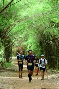 BIB: 43010
                            <button type="button" onclick="openModal(4305119)" class="btn btn-primary btn-sm float-right btn-popup" data-toggle="modal" data-target=".modal-high-quality">
                        <i class="fas fa-shopping-cart"></i> Add to Cart
                    </button>
                                            <button type="button" onclick="isThisMe(4305119, true)" class="btn btn-success btn-sm float-right btn-popup btn-isme hidden" data-toggle="tooltip" data-placement="bottom" title="นี่คือรูปของคุณใช่ไหม คลิกที่นี่เพื่อเอาเข้าอัลบั้ม">
                        <i class="fas fa-plus"></i> Add to album
                    </button>
                    <button type="button" onclick="isThisMe(4305119, false)" class="btn btn-warning btn-sm float-right btn-popup btn-isnotme hidden">
                        <i class="fas fa-ban"></i> Remove from album
                    </button>