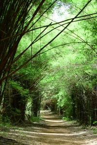 BIB: 
                            <button type="button" onclick="openModal(4294269)" class="btn btn-primary btn-sm float-right btn-popup" data-toggle="modal" data-target=".modal-high-quality">
                        <i class="fas fa-shopping-cart"></i> Add to Cart
                    </button>
                                            <button type="button" onclick="isThisMe(4294269, true)" class="btn btn-success btn-sm float-right btn-popup btn-isme hidden" data-toggle="tooltip" data-placement="bottom" title="นี่คือรูปของคุณใช่ไหม คลิกที่นี่เพื่อเอาเข้าอัลบั้ม">
                        <i class="fas fa-plus"></i> Add to album
                    </button>
                    <button type="button" onclick="isThisMe(4294269, false)" class="btn btn-warning btn-sm float-right btn-popup btn-isnotme hidden">
                        <i class="fas fa-ban"></i> Remove from album
                    </button>