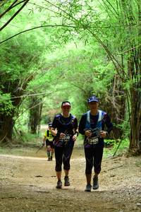 BIB: 399, 3400
                            <button type="button" onclick="openModal(4291089)" class="btn btn-primary btn-sm float-right btn-popup" data-toggle="modal" data-target=".modal-high-quality">
                        <i class="fas fa-shopping-cart"></i> Add to Cart
                    </button>
                                            <button type="button" onclick="isThisMe(4291089, true)" class="btn btn-success btn-sm float-right btn-popup btn-isme hidden" data-toggle="tooltip" data-placement="bottom" title="นี่คือรูปของคุณใช่ไหม คลิกที่นี่เพื่อเอาเข้าอัลบั้ม">
                        <i class="fas fa-plus"></i> Add to album
                    </button>
                    <button type="button" onclick="isThisMe(4291089, false)" class="btn btn-warning btn-sm float-right btn-popup btn-isnotme hidden">
                        <i class="fas fa-ban"></i> Remove from album
                    </button>