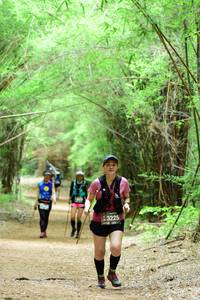 BIB: 3225, 
                            <button type="button" onclick="openModal(4305732)" class="btn btn-primary btn-sm float-right btn-popup" data-toggle="modal" data-target=".modal-high-quality">
                        <i class="fas fa-shopping-cart"></i> Add to Cart
                    </button>
                                            <button type="button" onclick="isThisMe(4305732, true)" class="btn btn-success btn-sm float-right btn-popup btn-isme hidden" data-toggle="tooltip" data-placement="bottom" title="นี่คือรูปของคุณใช่ไหม คลิกที่นี่เพื่อเอาเข้าอัลบั้ม">
                        <i class="fas fa-plus"></i> Add to album
                    </button>
                    <button type="button" onclick="isThisMe(4305732, false)" class="btn btn-warning btn-sm float-right btn-popup btn-isnotme hidden">
                        <i class="fas fa-ban"></i> Remove from album
                    </button>