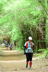 BIB: 3997
                            <button type="button" onclick="openModal(4292111)" class="btn btn-primary btn-sm float-right btn-popup" data-toggle="modal" data-target=".modal-high-quality">
                        <i class="fas fa-shopping-cart"></i> Add to Cart
                    </button>
                                            <button type="button" onclick="isThisMe(4292111, true)" class="btn btn-success btn-sm float-right btn-popup btn-isme hidden" data-toggle="tooltip" data-placement="bottom" title="นี่คือรูปของคุณใช่ไหม คลิกที่นี่เพื่อเอาเข้าอัลบั้ม">
                        <i class="fas fa-plus"></i> Add to album
                    </button>
                    <button type="button" onclick="isThisMe(4292111, false)" class="btn btn-warning btn-sm float-right btn-popup btn-isnotme hidden">
                        <i class="fas fa-ban"></i> Remove from album
                    </button>