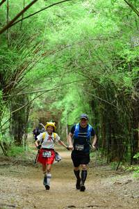 BIB: 3750, 3751
                            <button type="button" onclick="openModal(4293086)" class="btn btn-primary btn-sm float-right btn-popup" data-toggle="modal" data-target=".modal-high-quality">
                        <i class="fas fa-shopping-cart"></i> Add to Cart
                    </button>
                                            <button type="button" onclick="isThisMe(4293086, true)" class="btn btn-success btn-sm float-right btn-popup btn-isme hidden" data-toggle="tooltip" data-placement="bottom" title="นี่คือรูปของคุณใช่ไหม คลิกที่นี่เพื่อเอาเข้าอัลบั้ม">
                        <i class="fas fa-plus"></i> Add to album
                    </button>
                    <button type="button" onclick="isThisMe(4293086, false)" class="btn btn-warning btn-sm float-right btn-popup btn-isnotme hidden">
                        <i class="fas fa-ban"></i> Remove from album
                    </button>